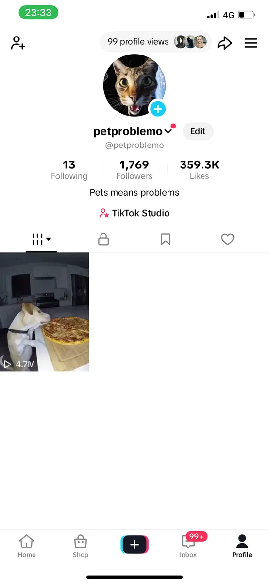 TikTok account screenshot showing 4.7 million views from a single AI pet video generated with OpenAI Sora